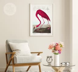 Pink Flamingo Print, Audubon Birds of America Illustration, Vintage Botanical Print for Wall 5