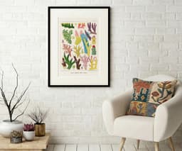 Vintage Coral Wall Art Print, William Saville-Kent, Colourful Marine Decor, Coastal, Fine Art Print, Gallery Wall Art 3
