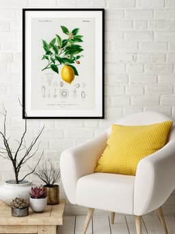 Vintage Lemon Botanical Print, Citrus Wall Art, Yellow Kitchen Decor (Giclée Paper) 5