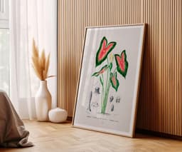 Elephant Ear Plant Print, D'Orbigny Vintage Botanical Flower, Vintage Foliage Art, Tropical Wall Decor, Floral Wall Art 7
