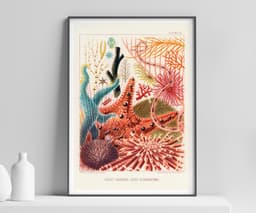 Marine Life Wall Art Print, Saville-Kent, Vintage, Living Room Coastal Decor, Blue Fine Art Print - The Great Barrier Reef of Australia 1