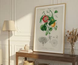Botanical Wall Art Print, Passiflora Passion Fruit Flower, Vintage Floral Decor, Kitchen Art, Giclée 3