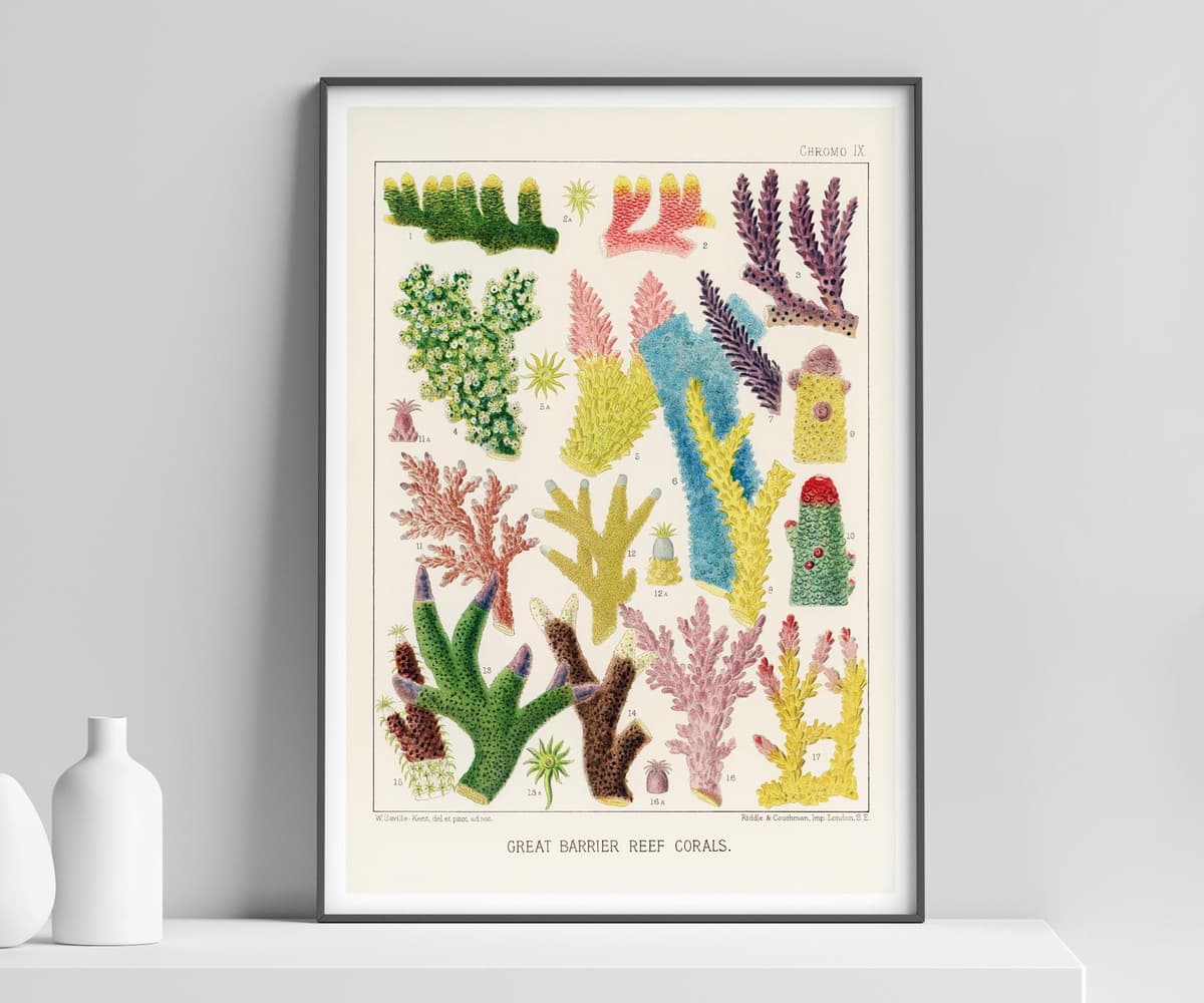 Vintage Coral Wall Art Print, William Saville-Kent, Colourful Marine Decor, Coastal, Fine Art Print, Gallery Wall Art