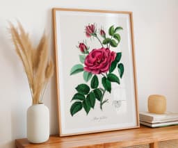 Vintage Wall Art Print, Red Rose Botanical Flower, Cottage Core, Floral Lovers Gift 3