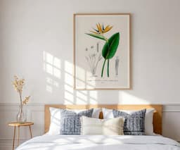 Bird of Paradise Flower Wall Art Print, Vintage Botanical Flower by D'Orbigny 10