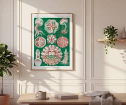 Jellyfish Wall Art Print, Vintage Ernst Haeckel Illustration, Ocean Marine Decor, Coastal Wall Art, Bathroom Art, Giclée Fine Art Print 6