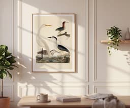 Heron Wall Art Print, Alexander Wilson, Vintage, Living Room, Fine Art Print, Tropical Decor, Bird Illustration 7