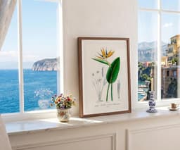 Bird of Paradise Flower Wall Art Print, Vintage Botanical Flower by D'Orbigny 9