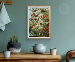 Ernst Haeckel Colorful Birds Print, Vintage Tropical Wall Art, Living Room Decor Housewarming Gift 7