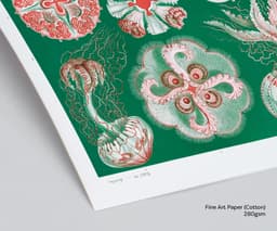 Jellyfish Wall Art Print, Vintage Ernst Haeckel Illustration, Ocean Marine Decor, Coastal Wall Art, Bathroom Art, Giclée Fine Art Print 9