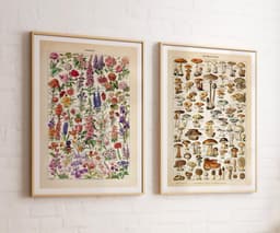 Adolphe Millot Botanical Prints, Vintage Mushroom and Flower Wall Art (Set of 2) 10