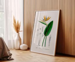 Bird of Paradise Flower Wall Art Print, Vintage Botanical Flower by D'Orbigny 7