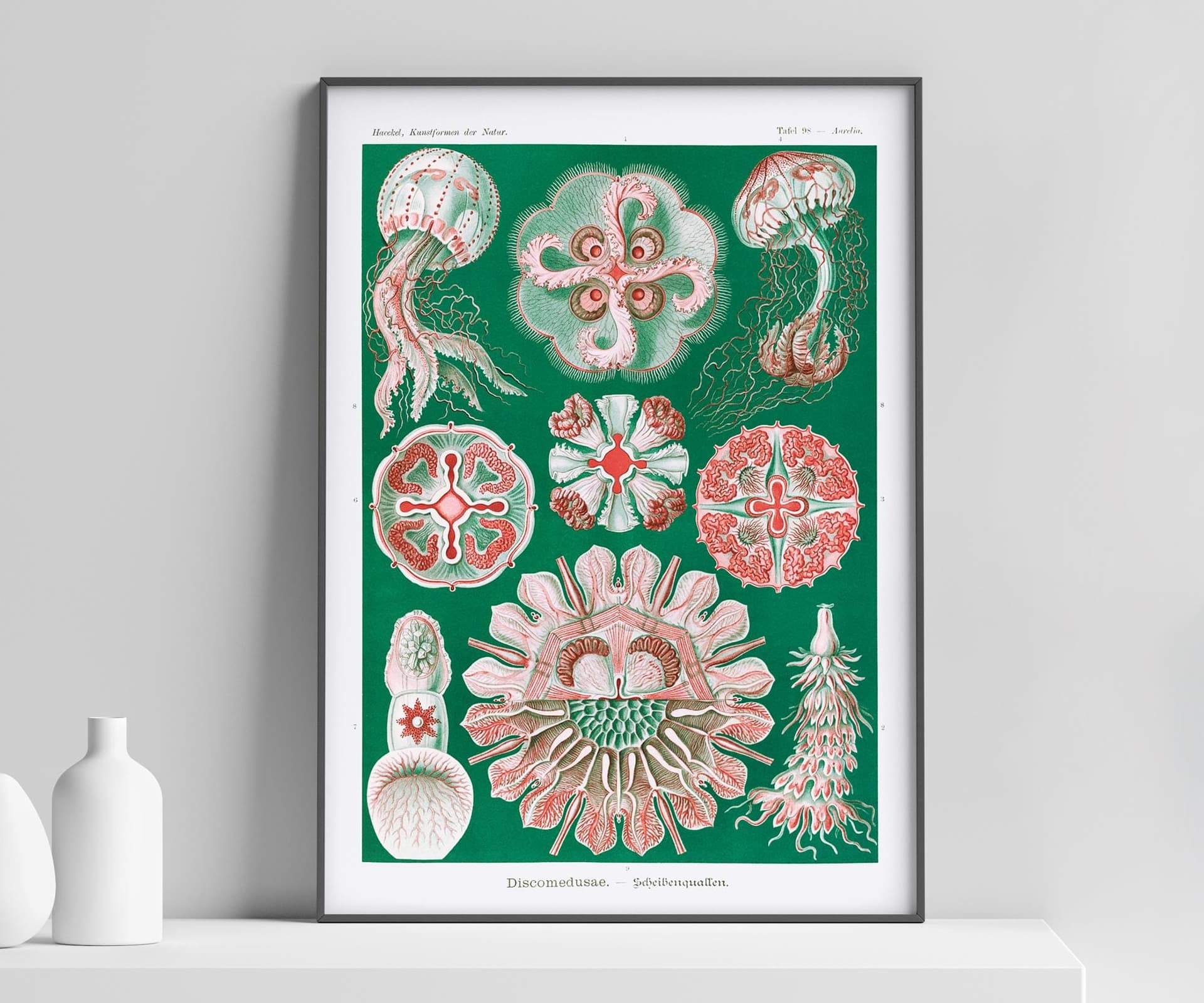 Jellyfish Wall Art Print, Vintage Ernst Haeckel Illustration, Ocean Marine Decor, Coastal Wall Art, Bathroom Art, Giclée Fine Art Print
