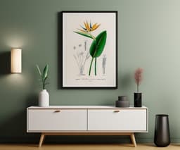 Bird of Paradise Flower Wall Art Print, Vintage Botanical Flower by D'Orbigny 6