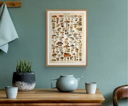 Mushroom Wall Art Print, Vintage Champignons Illustration, Adolphe Millot Fungi Poster, Kitchen Decor, Botanical Art, Giclée Fine Art Print 4
