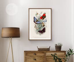 Butterfly Wall Art Print, 7 Species by Oliver Goldsmith 1820, Vintage Insect Illustration, Botanical Nature Decor, Giclée Fine Art Print 7