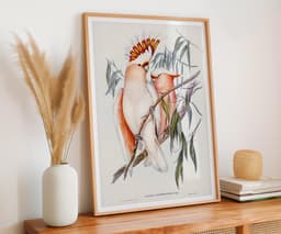 Bird Wall Art Print, Cockatoo Vintage Print for Garden Lovers, Housewarming Gift, Wildlife Illustration 5