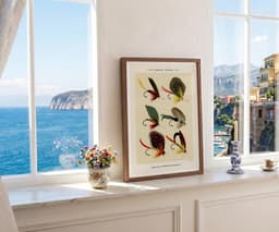 Bass Flies Wall Art Print, Mary Orvis Marbury, Vintage Sports Decor, Home Office Fine Art Print, Classic Giclée Art 9