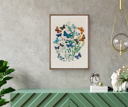 Vintage Butterfly Wall Art Print, European Butterflies Botanical Illustration, Nature Decor, Living Room, Fine Art Print 9