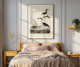 Heron Wall Art Print, Alexander Wilson, Vintage, Living Room, Fine Art Print, Tropical Decor, Bird Illustration 9