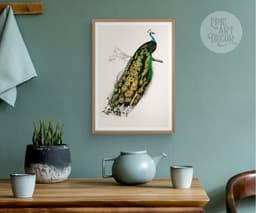 Vintage Peacock Art Print, Charles Dessalines D'Orbigny Illustration, Exotic Bird Botanical Giclée 7