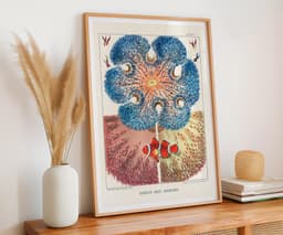 Ocean Wall Art Print, Barrier Reef Anemones by William Saville-Kent, Vintage Coastal Decor, Fine Art Print 3