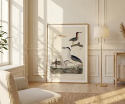 Heron Wall Art Print, Alexander Wilson, Vintage, Living Room, Fine Art Print, Tropical Decor, Bird Illustration 5