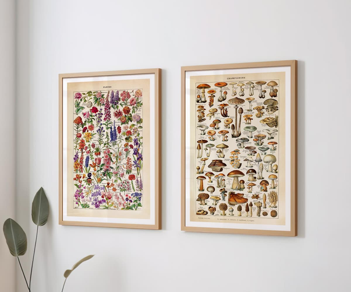 Adolphe Millot Botanical Prints, Vintage Mushroom and Flower Wall Art (Set of 2)