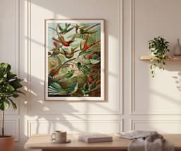 Ernst Haeckel Colorful Birds Print, Vintage Tropical Wall Art, Living Room Decor Housewarming Gift 6