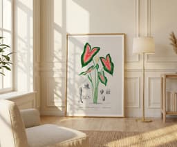 Elephant Ear Plant Print, D'Orbigny Vintage Botanical Flower, Vintage Foliage Art, Tropical Wall Decor, Floral Wall Art 6
