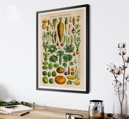 Vintage Botanical Print, Adolphe Millot Vegetables, Kitchen Decor Fine Art 6
