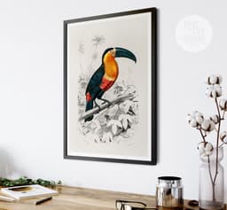 Vintage ‘Toucan du Para’ Print for Wall, Charles Dessalines Botanical Wall Art 8