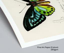 Butterfly Wall Art Print, Ornithoptère de Durville, Charles Dessalines D'Orbigny, Exotic Insect Decor, Botanical Art, Giclée Fine Art Print 3