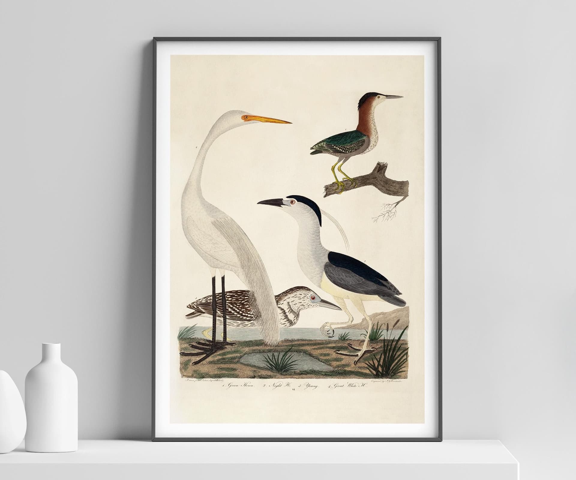 Heron Wall Art Print, Alexander Wilson, Vintage, Living Room, Fine Art Print, Tropical Decor, Bird Illustration