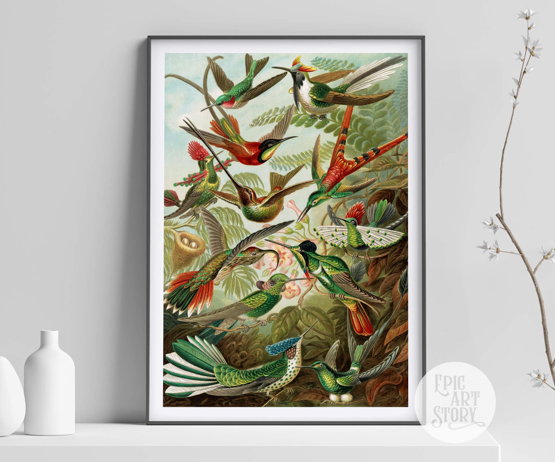 Hummingbird by Ernst Haeckel - Premium Wood Framed Art Print