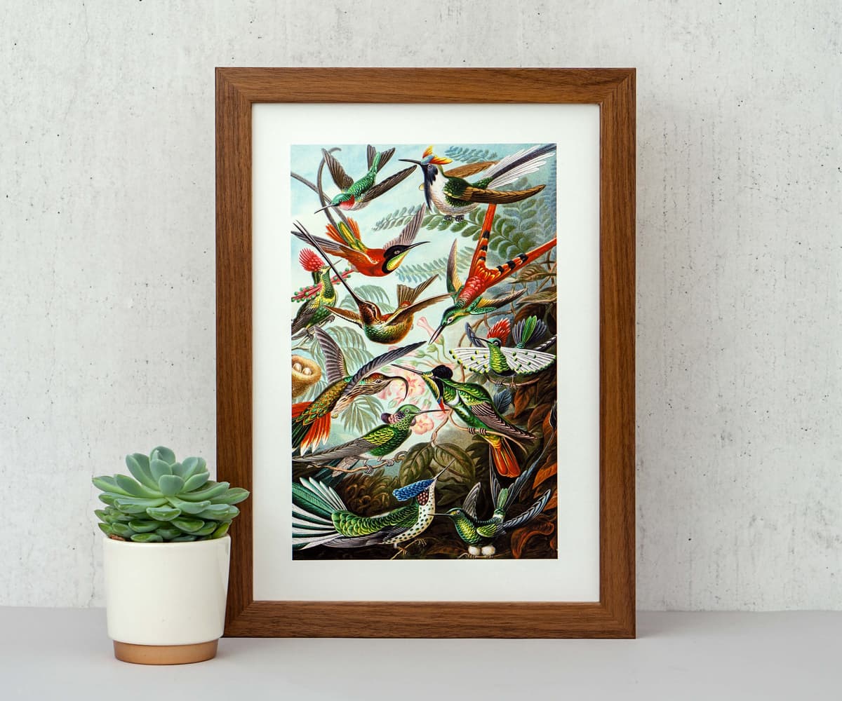 Handcrafted Walnut Picture Frame with Mount – Glass or Acrylic